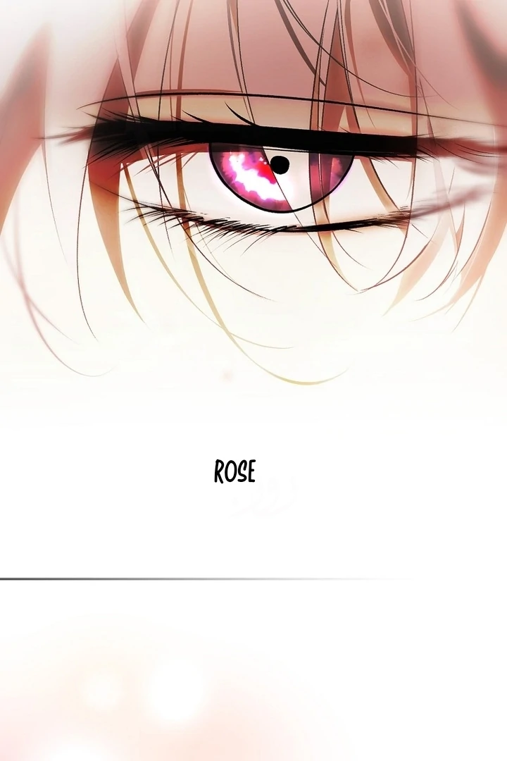 Secret Lady Chapter 116 9
